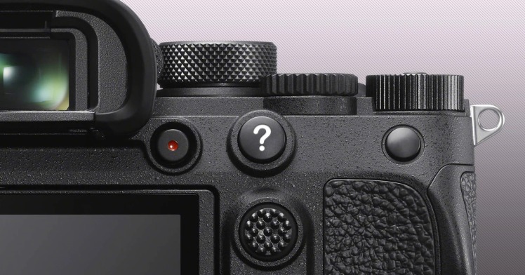 فوکوس با دکمه پشتی دوربین عکاسی (Back Button Focus): هر آنچه باید بدانید