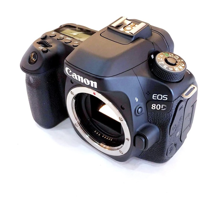 مشکلات رایج مانیتور LCD تاشو در Canon 90D و Canon 80D هنگام کار در فضای باز