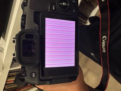 چرا دوربین‌های عکاسی فریز می‌کنند؟ ۱۲ دلیل شوکه‌کننده + راه‌حل‌های فوری برای جلوگیری از هنگ کردن دوربین