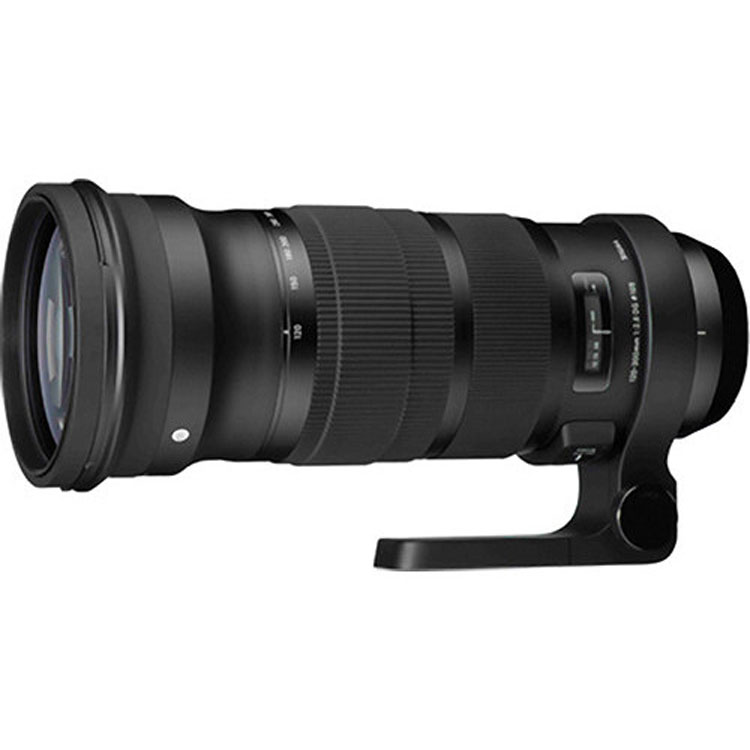 تعمیر لنز Sigma 120-300mm f/2.8 DG OS HSM Sports برای کانن